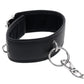 Edge Collar and Leash