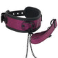 WhipSmart Dragon's Lair Collar, Leash & Nipple Clips Set