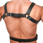 Strict 6 O-Ring Chest Harness