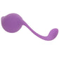 BodyWand Squeeze 5PC Teardrop Kegel Set