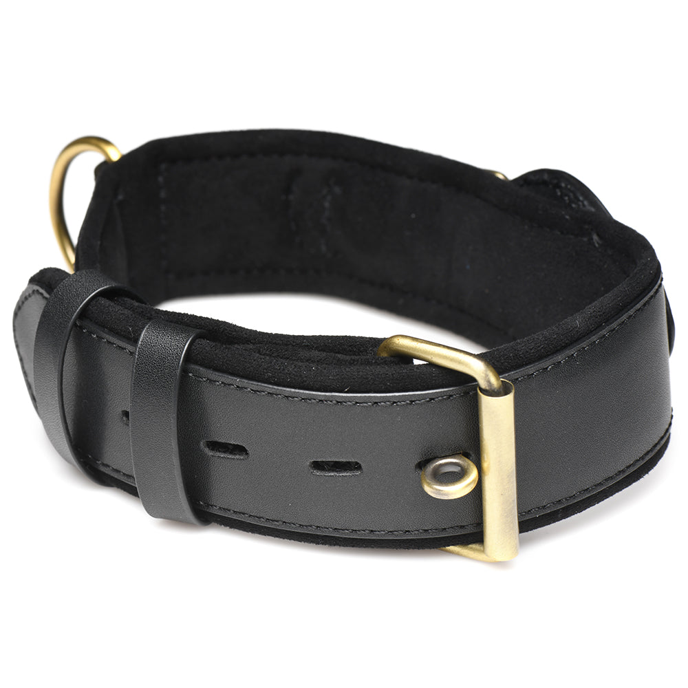 Dog master tracking sales collars